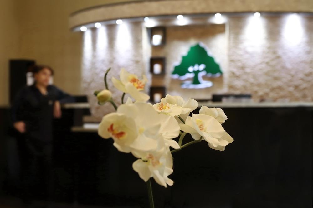 朗维尤红顶套房酒店 外观 照片
